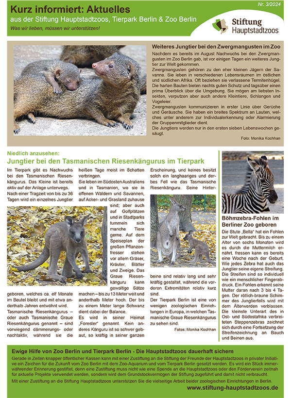 kurz informiert: Aktuelles 3 2024