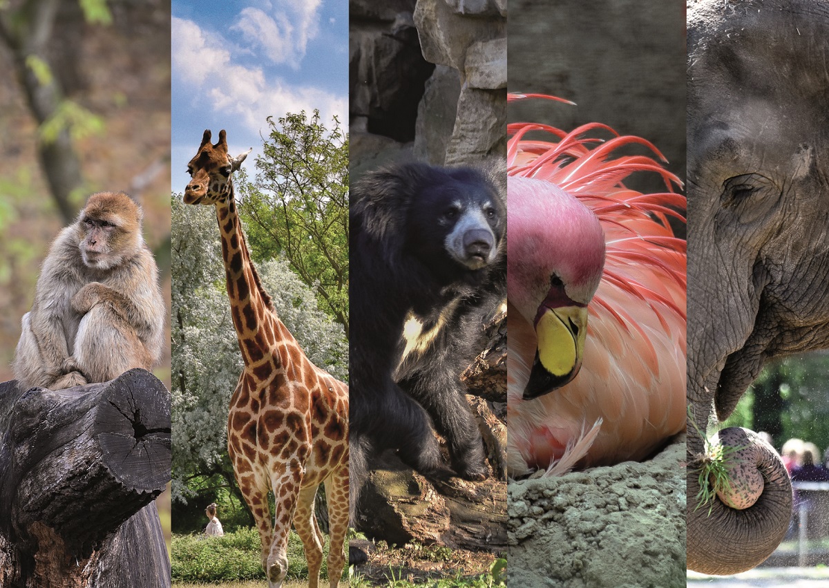 alt-"Spende Tierpark Berlin und Zoo Berlin"