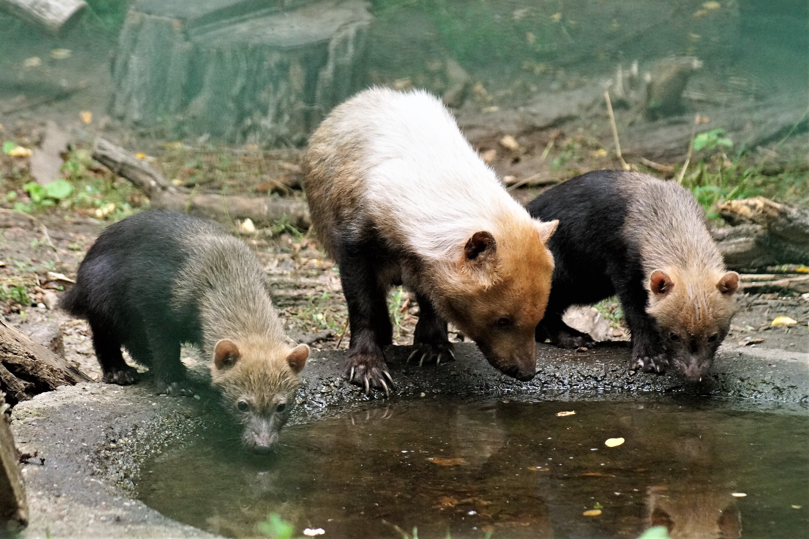 University of Bristol visual data 2